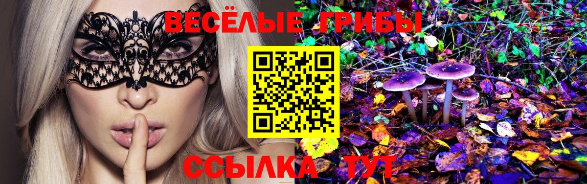 Псилоцибиновые грибы Magic Shrooms  Вход с VPN  Коряжма 